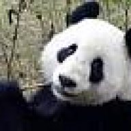 pandaemon