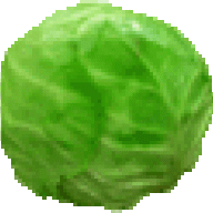 \'OrribleCabbage