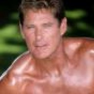 The Hoff